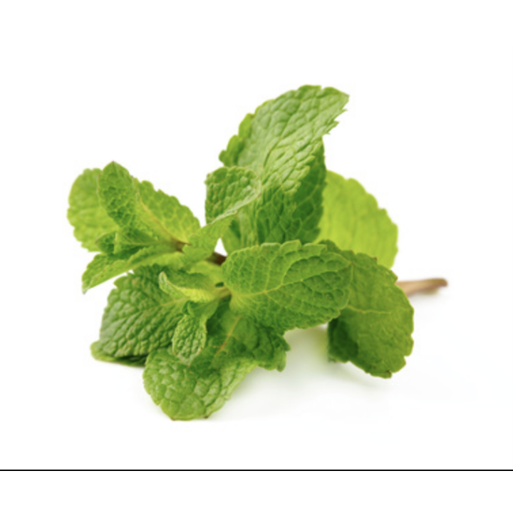 Menthe fraiche - Boucherie et Saveurs du Monde