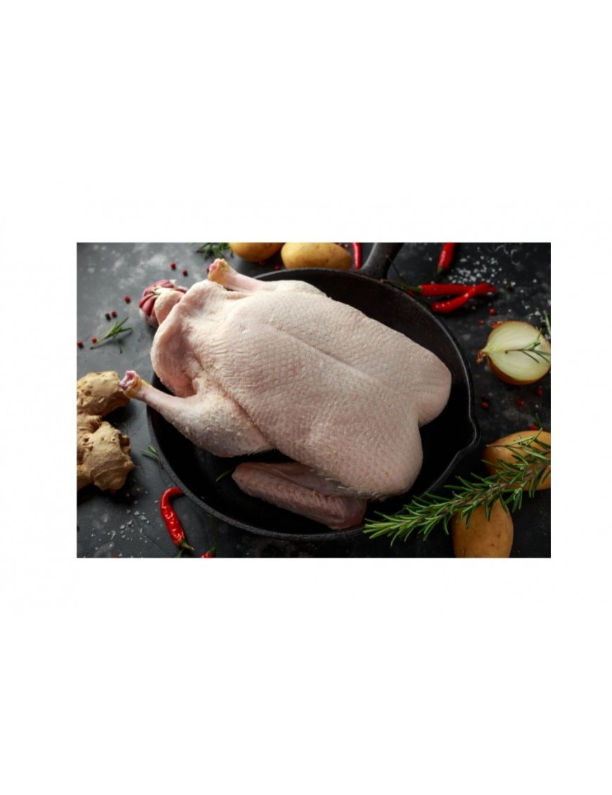 Canard PAC
