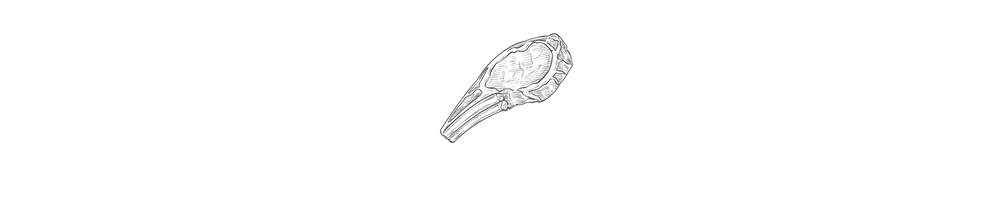 Bœuf