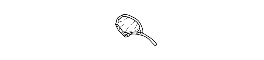 Veau-agneau